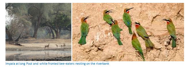 Mana Pools National Park, a UNESCO World Heritage Natural Site photograph