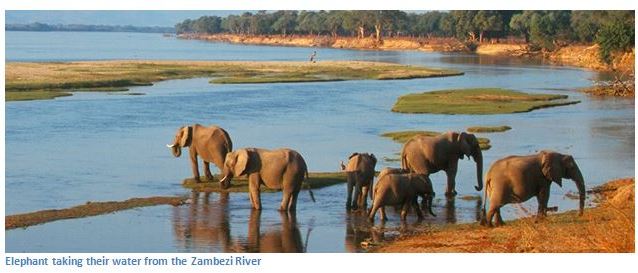 Mana Pools National Park, a UNESCO World Heritage Natural Site photograph