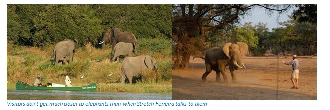 Mana Pools National Park, a UNESCO World Heritage Natural Site photograph