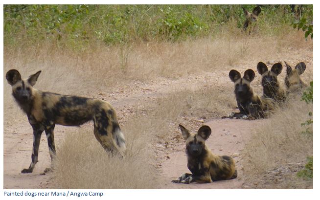 Mana Pools National Park, a UNESCO World Heritage Natural Site photograph