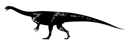 Musango matusadonaensis, Zimbabwe’s fifth dinosaur to be discovered photograph